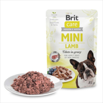 BRIT CARE POCHON MINI...