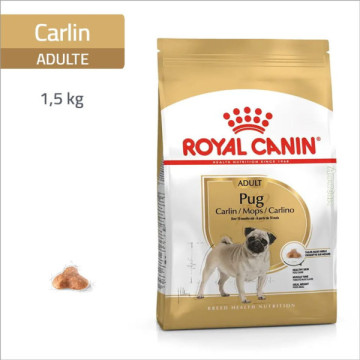 ROYAL CANIN SPECIAL CARLIN...