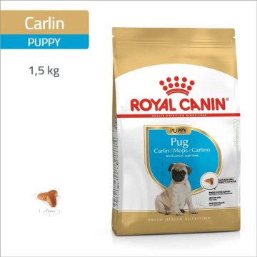 ROYAL CANIN SPECIAL CARLIN...