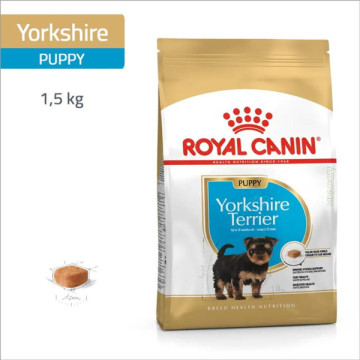 ROYAL CANIN SPECIAL...
