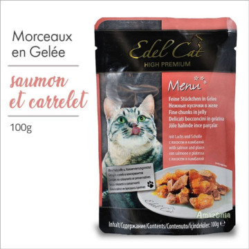 EDEL CHAT POCHON en GELEE...