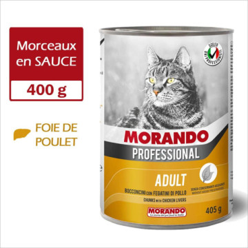 MORANDO PROFESSIONAL CHAT...