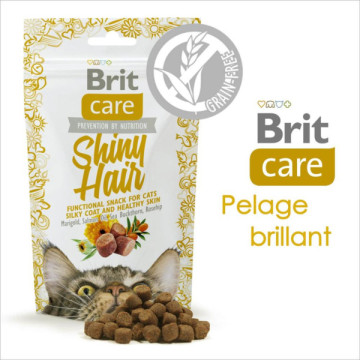 BRIT CARE FRIANDISE CHAT...