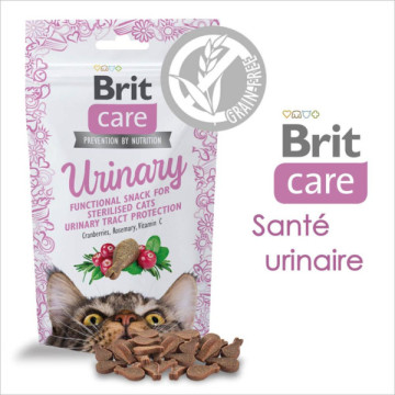 BRIT CARE FRIANDISE CHAT...