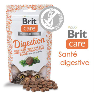 BRIT CARE FRIANDISE CHAT...