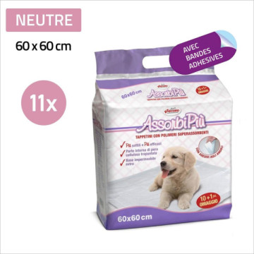 TAPIS ABSORBANT RECORD...