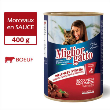 MIGLIORGATTO en SAUCE 400g...