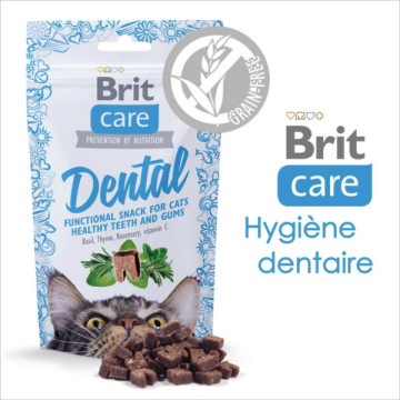 BRIT CARE FRIANDISE CHAT...