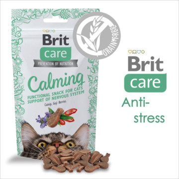 BRIT CARE FRIANDISE CHAT...