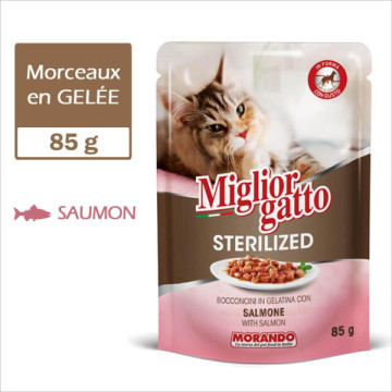 MIGLIORGATTO POCHON en...