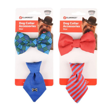 SET PAPILLON + CRAVATE...