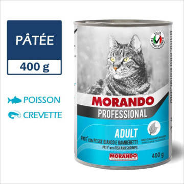 MORANDO PROFESSIONAL CHAT...