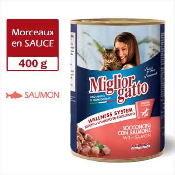 MIGLIORGATTO en SAUCE 400g...