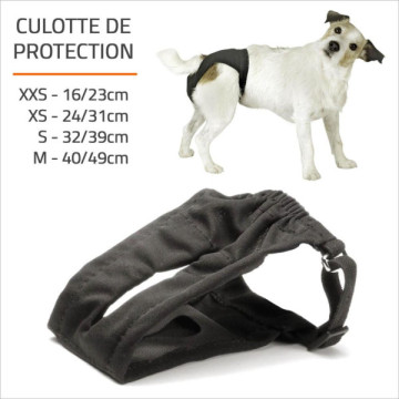 CULOTTE SLIP HYGIENIQUE RECORD