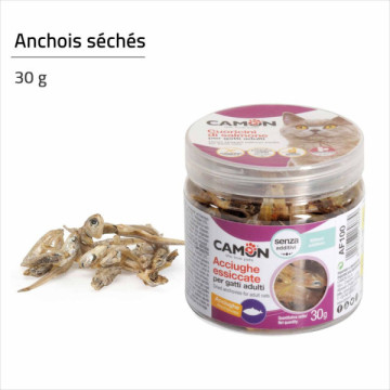 CAMON FRIANDISE CHAT...