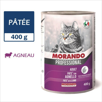 MORANDO PROFESSIONAL CHAT...