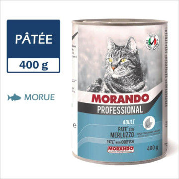 MORANDO PROFESSIONAL CHAT...