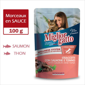 MIGLIORGATTO POCHON en...