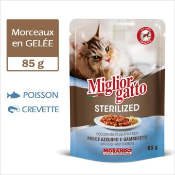 MIGLIORGATTO POCHON en...