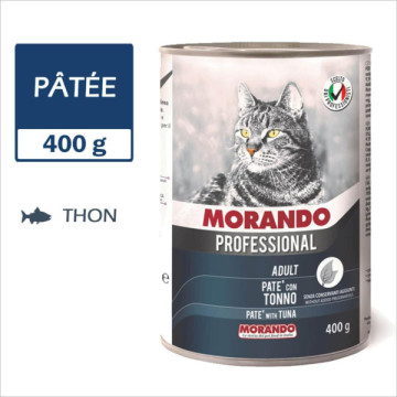 MORANDO PROFESSIONAL CHAT...