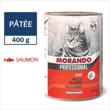 MORANDO PROFESSIONAL CHAT...