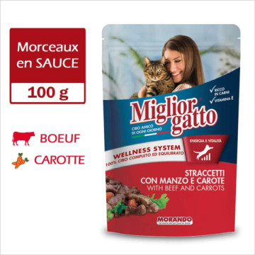 MIGLIORGATTO POCHON en...