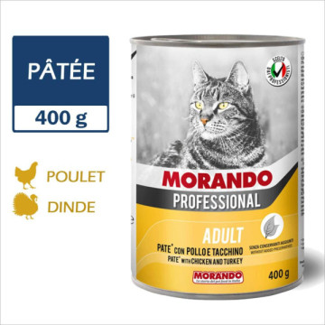 MORANDO PROFESSIONAL CHAT...