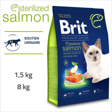 BRIT PREMIUM by NATURE CHAT...