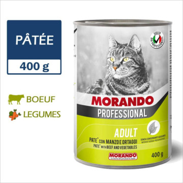 MORANDO PROFESSIONAL CHAT...