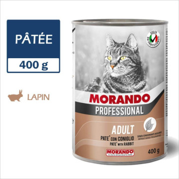 MORANDO PROFESSIONAL CHAT...