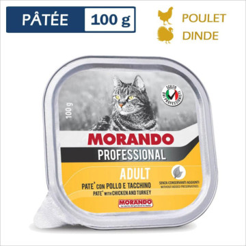 MORANDO PROFESSIONAL PATEE...