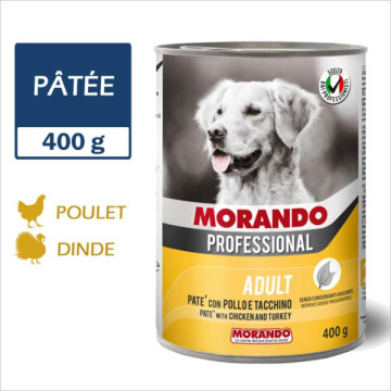 MORANDO PROFESSIONAL CHIEN...