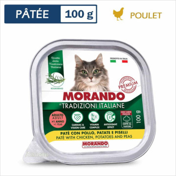 MIGLIORGATTO BARQ...