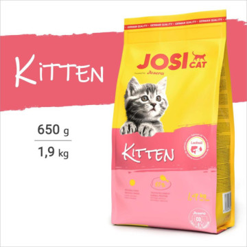 JOSICAT KITTEN - chaton -...