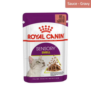 ROYAL CANIN POCHON CHAT...