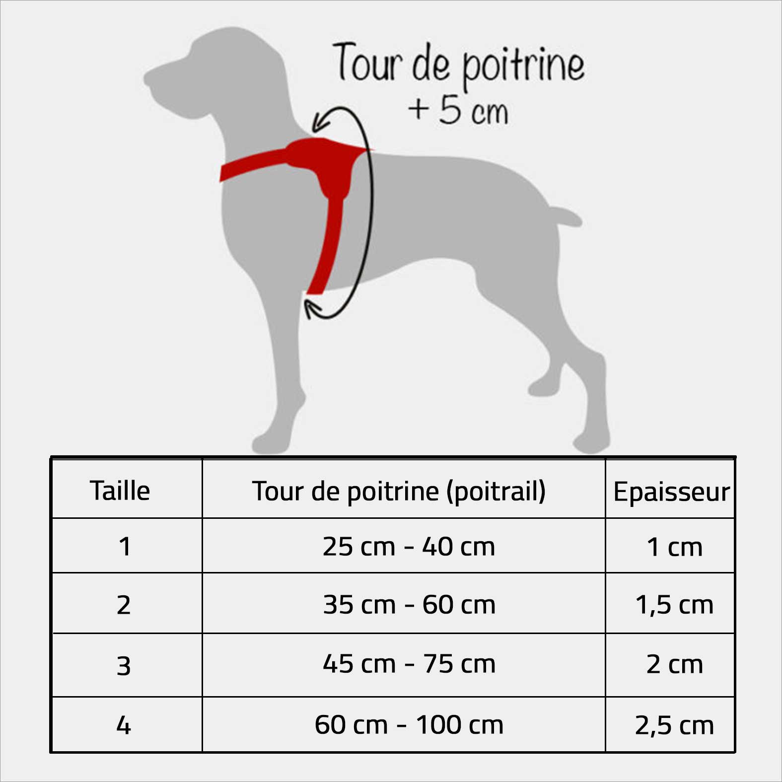 guide taille harnais