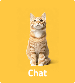 chat amazonia