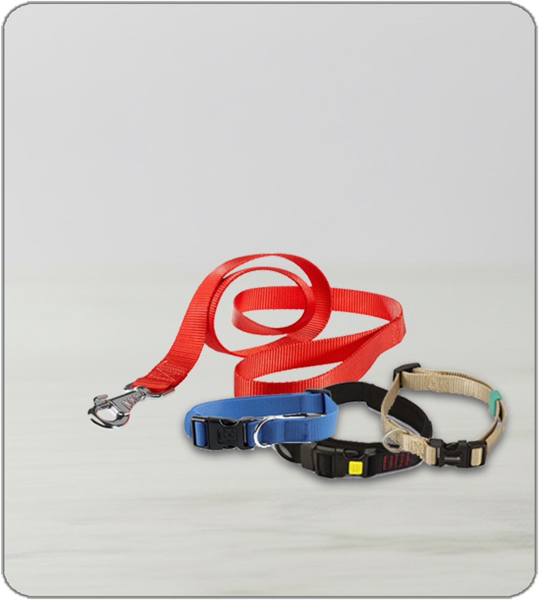 Collier Harnais Chat