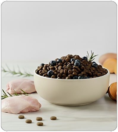 Croquette Premium Chat