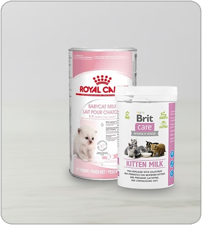 Lait Maternisé Chat