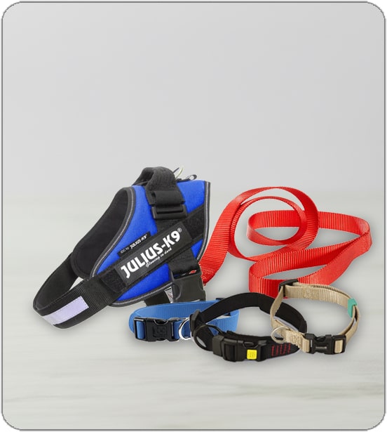 COLLIER HARNAIS & LAISSE