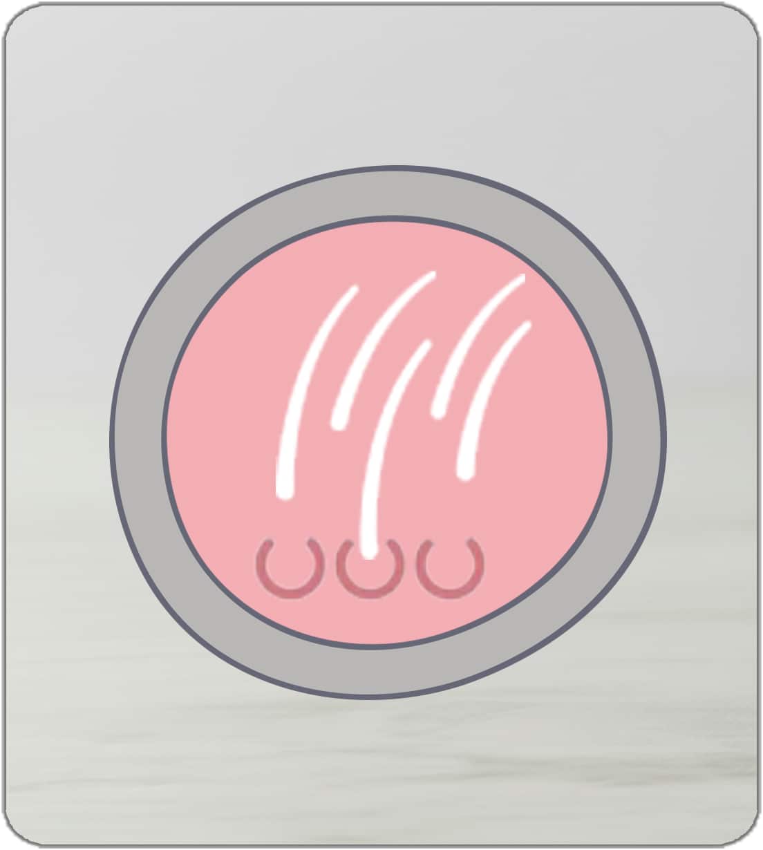 Complement poil peau chien