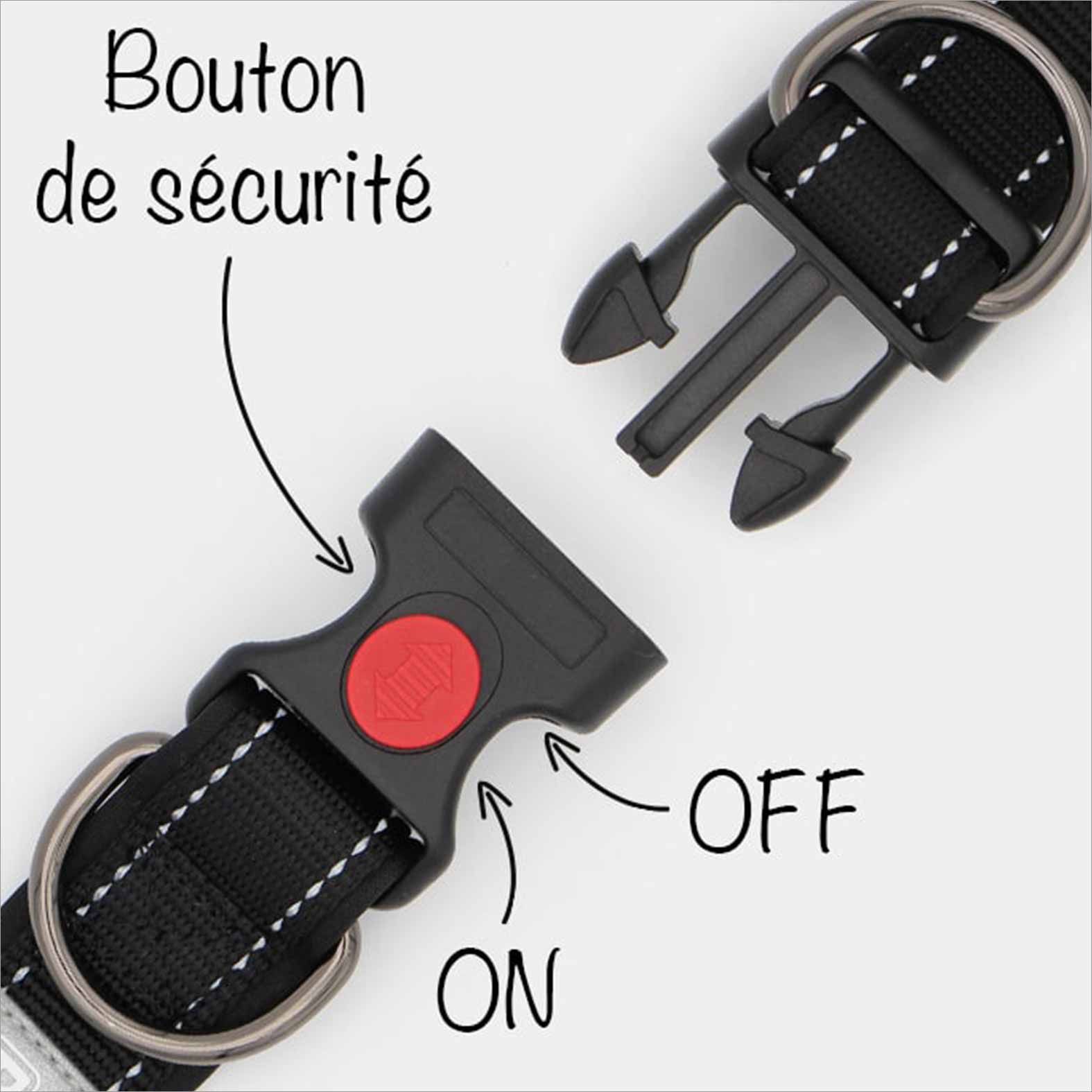 collier chien securite
