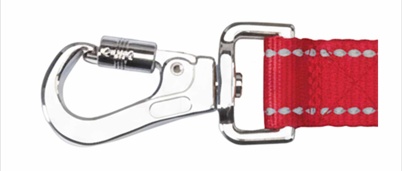 collier chien mousqueton