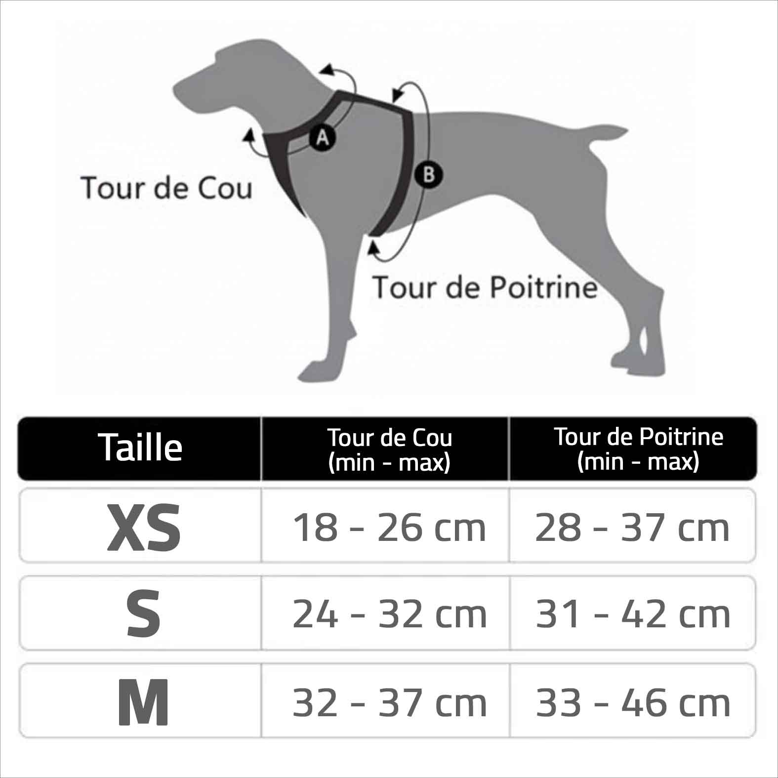 tailles harnais chien