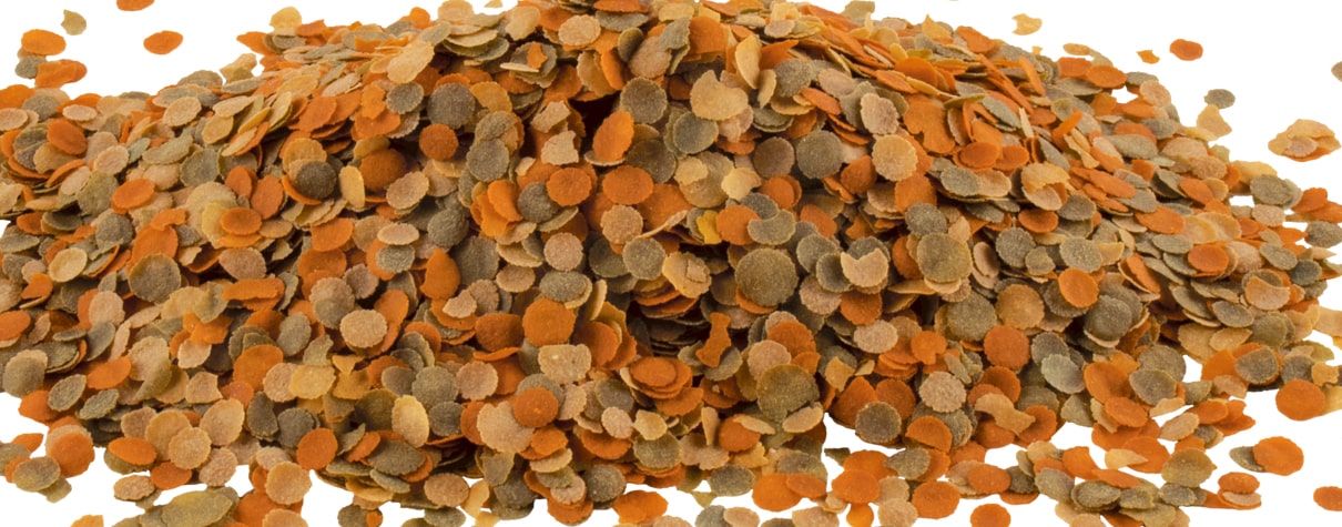 tetramin crisps