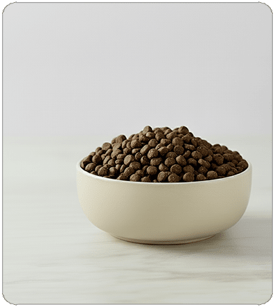 CROQUETTE ÉCONOMIQUE